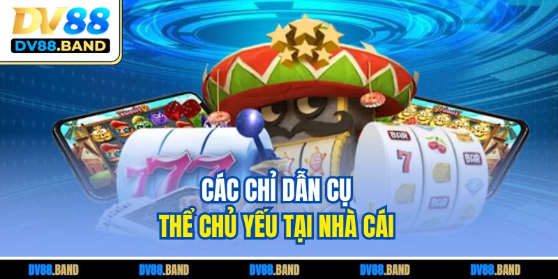 Các chỉ dẫn cụ thể chủ yếu tại nhà cái 