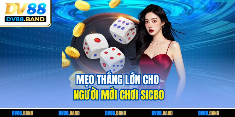 Mẹo thắng lớn cho người mới chơi Sicbo