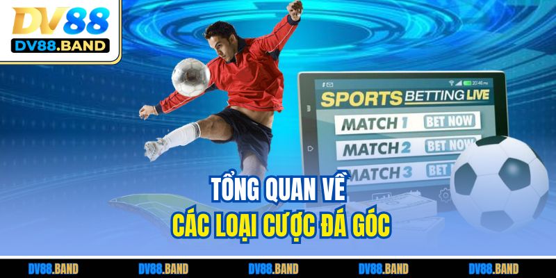 Tổng quan về các loại cược đá góc